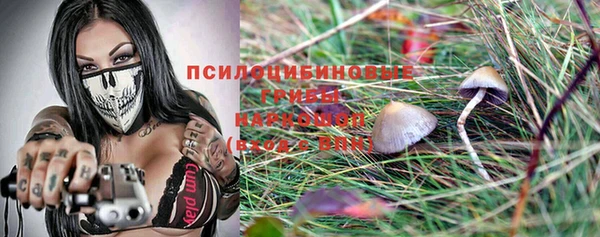 a pvp Алзамай