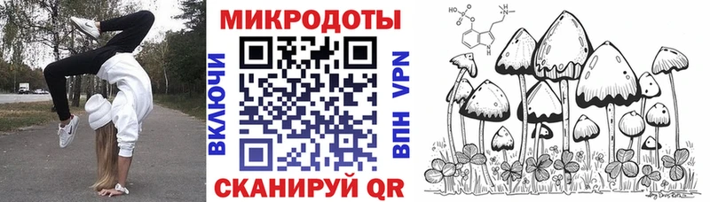 ссылка на мегу   Туймазы  Псилоцибиновые грибы Psilocybine cubensis 